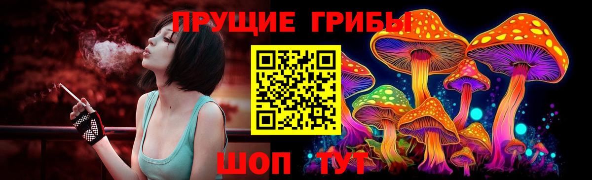 Галлюциногенные грибы Psilocybe  Псилоцибиновые грибы GOLDEN TEACHER  Вход с VPN  Артёмовский 