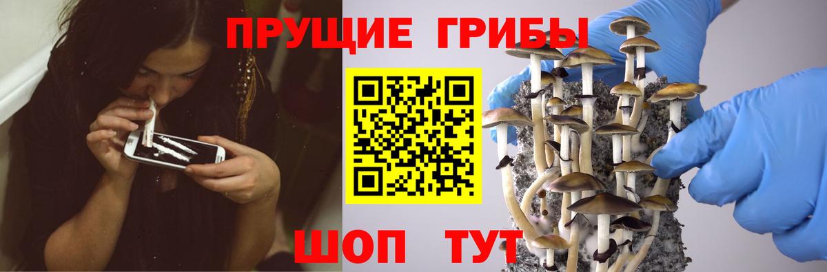 Галлюциногенные грибы GOLDEN TEACHER Артёмовский